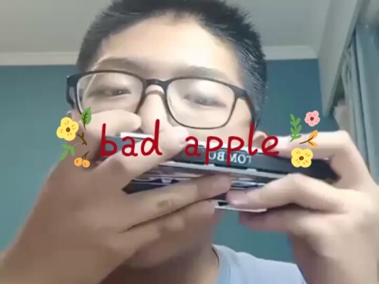 "Bad Apple!"