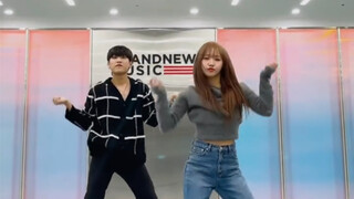 朴佑镇 x 磪有情- Sunflower challenge