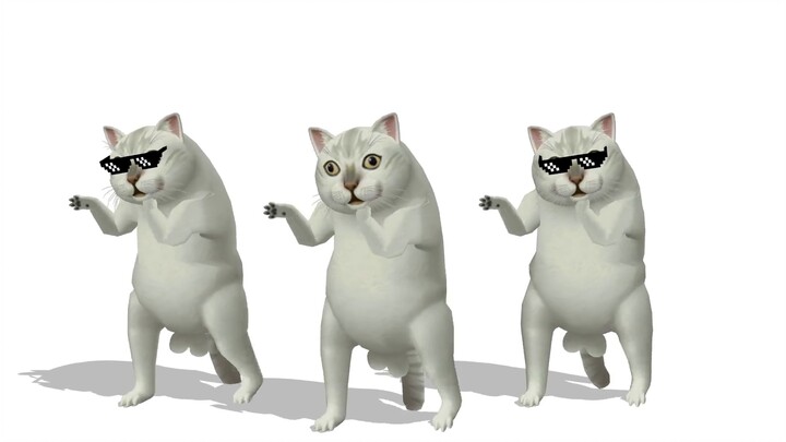 【Mur Cat MMD】ลูกแมวยิมนาสติก♂