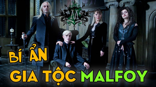 GIA TỘC MALFOY - Bí Ẩn Gia Tộc Thượng Đẳng Nhất Giới Phù Thuỷ - Harry Potter  Series | Ten Tickers