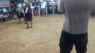 2hits. 2nd Fight. Kelso Sweater. Win. Nov.09, 2025