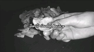 Camilan Japota Sambal Bawang