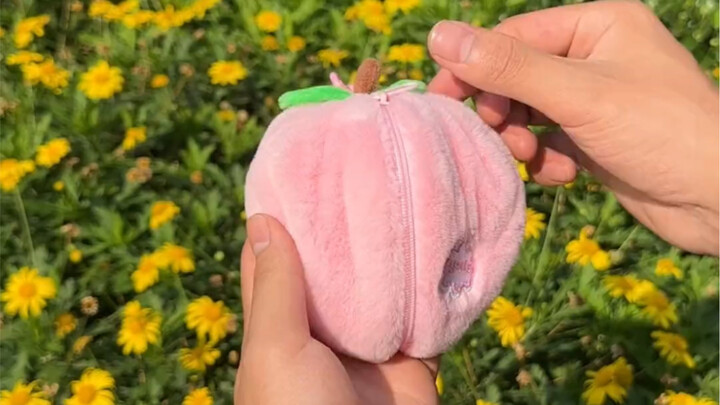 I’m obsessed with my new plushie—it looks like a fruit on the outside, but there’s a little animal i