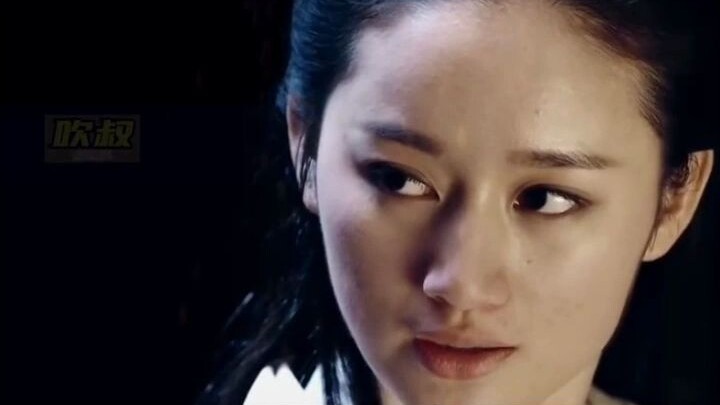 Scholar tries to assassinate a high-ranking official, only to discover the target is also a martial 