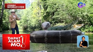 50 feet na ahas sa India, pinakamahabang ahas na nabuhay?! | Dapat Alam Mo!