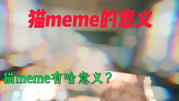 猫meme的意义？ ——猫meme风纪委员