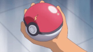 Mọi người đều muốn - Thế giới của Pokémon