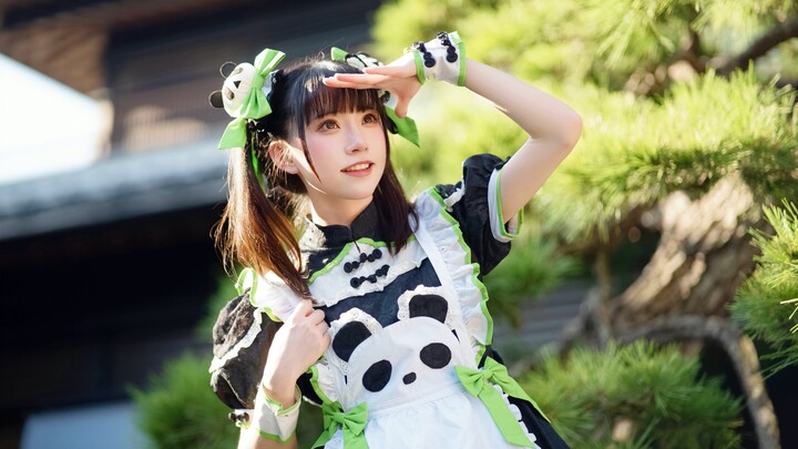 Happy Landlord 🐼 là một cô hầu gái gấu trúc màn hình dọc