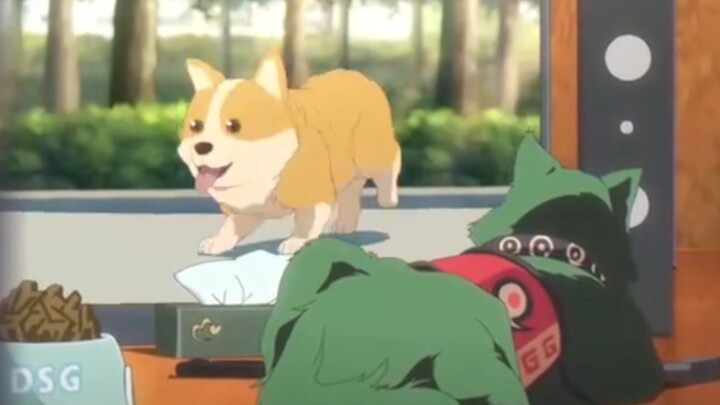 二哈：不介意我回趟老家吧王令：抱歉！你老家没了！是你师父干的