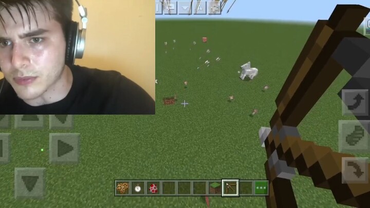 Mod kỳ quặc trong Minecraft