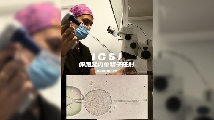มาทำความรู้จักกระบวนการที่สำคัญที่สุดในวิธีการทำเด็กหลอดแก้ว: ICSI (การฉีดสเปิร์มเข้าไปในไข่แบบหนึ่ง
