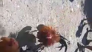 nabaunan