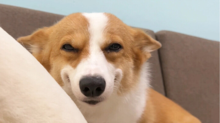 She seems a little guilty~