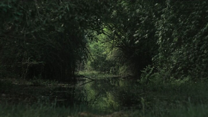 Kuttram Purindhavan (2025) Season 01 Episode 05 Telugu