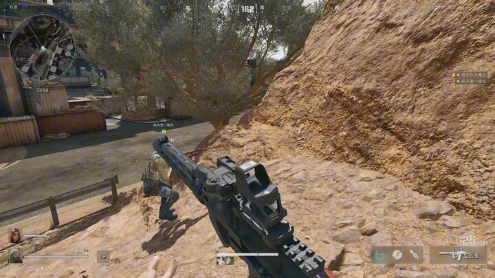Brother's Gun