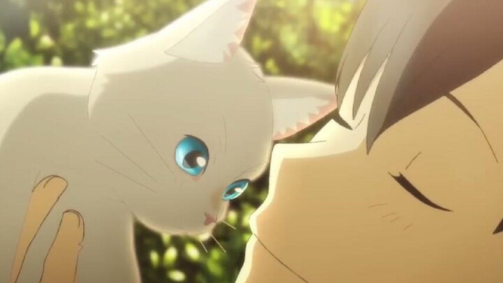Dia benar-benar berubah! Anime baru Mari Okada ini akan memenuhi keinginanmu!
