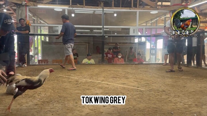 2 hits 2 entry LW WL Tokwing Grey & JRP Sweater 2nd Entry JRP Black and JM Fantastic dome!