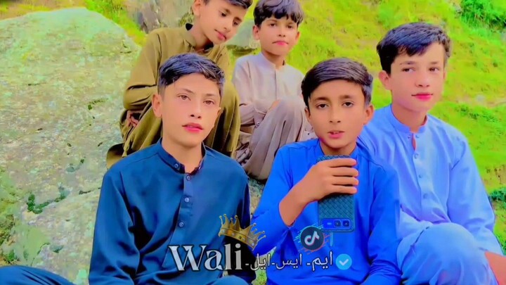 Hi guys this me WALI Muhammad and you seen wali MSL page and seen a special Poshto poetry ..