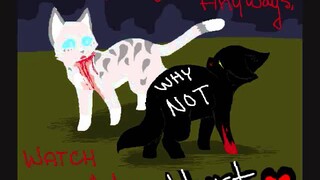 Hollyleaf & Ashfur: In Fact