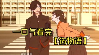 【Kumamonogatari】Bộ ba phim hoạt hình từ bộ truyện Akiyuki Shinbo's Tale, xem một lần