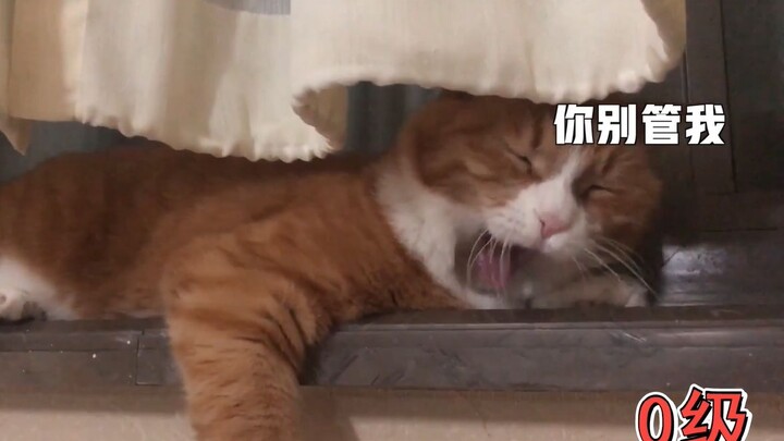 Papi's Big and Little Mi: Here comes a wave of yawns! How many seconds can you last without yawning?