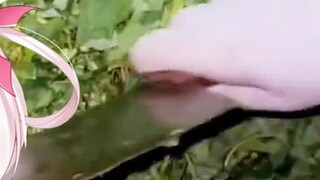 ถึงหมาจะน่ารักแค่ไหนก็ยังโดนทุบตี! - - -