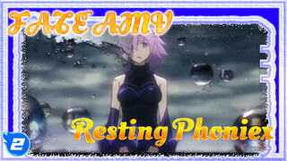 Tidak Ada Yang Berbagi Betapa Konyolnya Dunia | Fate - Resting Phoenix_2