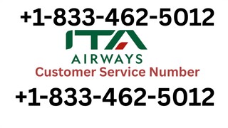 Porter Airlines ™ Customer Service Explained | Easy Help for Bookings