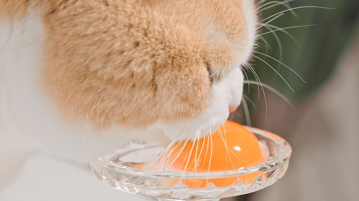 จะแสดงให้คุณป้าดูหน่อยว่ากินไข่ไก่ยังไง!