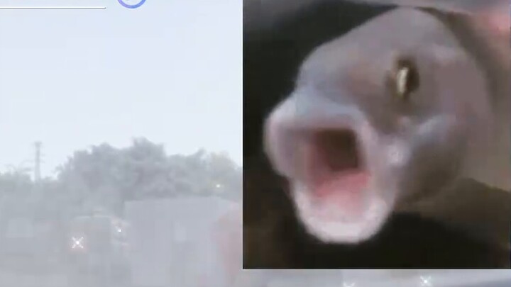 Exciting, I kidnapped an amnesiac Altman and brought him home as my brother