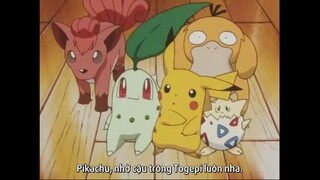 Pokemon Pikachu Short 05- Cùng chơi trên băng!