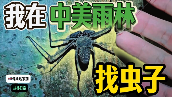 Hari-hari Aku Tinggal Sendirian di Pegunungan Hutan Hujan Tiongkok-Amerika