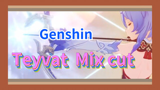 Teyvat Mix cut