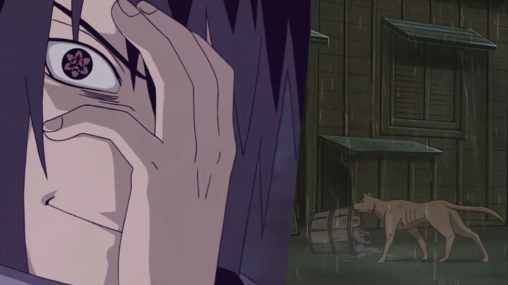 In those days, if a dog looked at Erzhuzi twice, he would be punished by Amaterasu.