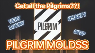 CRAZY PILGRIM MOLDS OPENING! F2P NIKKE New Year End Festival #2023NikkeYearEndFest