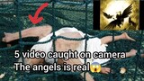 top 5 video angels caught on camera