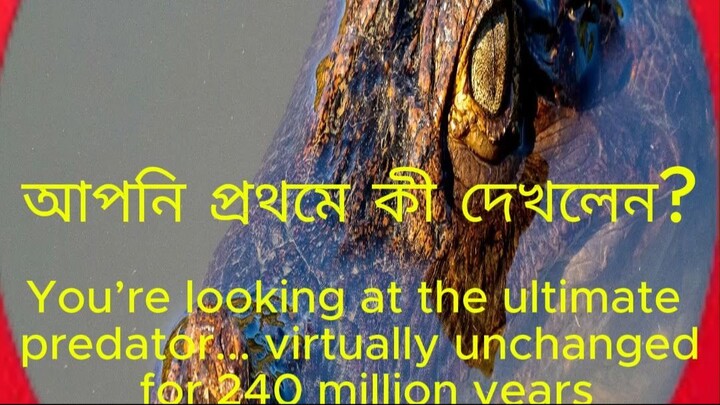 The Ultimate 240 Million Year Survivor! 🐊 Prehistoric Apex Predator #wildlife #shorts