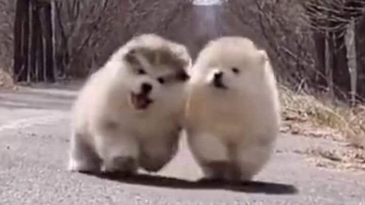 "Hey, just wait for it!"