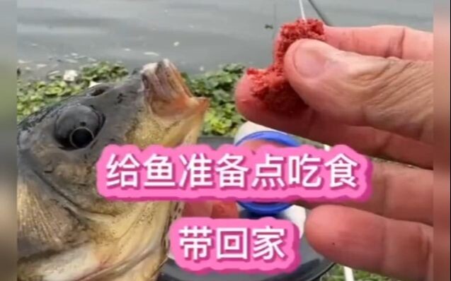 Không thể để bạn đến一趟 mà không nhận được gì.