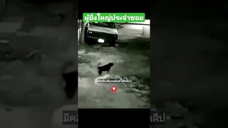 ผู้ยิ่งใหญ่ประจำซอย