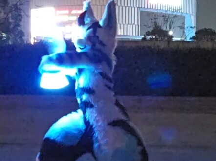 Fluorescent sticks... just enjoy them with a smile!