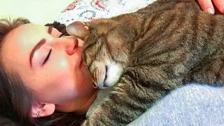 Snuggle Time Is Coming!! Cute Cats And Their Owners Sleep Together