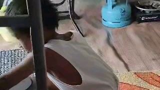 little drummer sipatoy