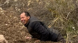 Pemuda desa yang inspiratif, menanam 300 kati kentang dengan usahanya sendiri