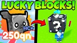 *NEW* LUCKY BLOCKS UPDATE IS HERE! TRADING BOOTHS, NEW LUCKY EGG, NEWPETS & AUTO ENCHANT! (Roblox)