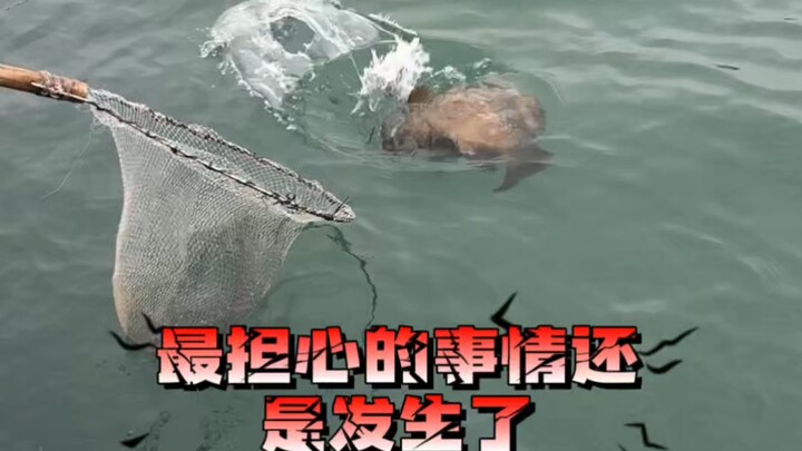 Pengalaman 100 orang: memancing di laut, berkemah, dan barbeku selama 2 hari 1 malam