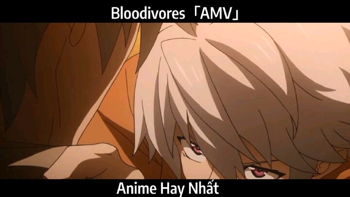 Bloodivores「AMV」Hay Nhất