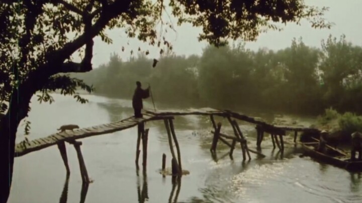Old movies with a strong classical flavor