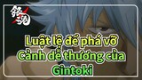 [Luật lệ để phá vỡ] Cảnh dễ thương của Gintoki