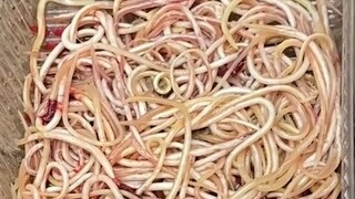 这视频发完，我不会被封号吧？百万粉丝福利视频！